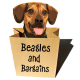 Jessica Shipman | Beagles and Bargains