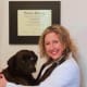 Travel Animal Doctor